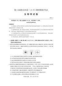湖北省第八届高三（4月）调研模拟考试生物试卷PDF版含答案