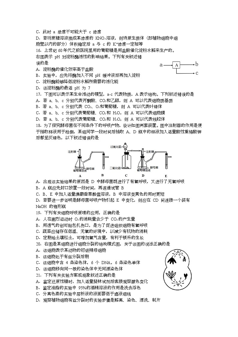 2023宁波三锋教研联盟高一下学期期中联考生物试题含答案第3页