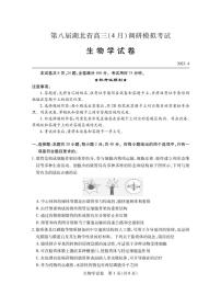 2023届湖北省第八届高三（4月）调研模拟考试 生物试卷 PDF版
