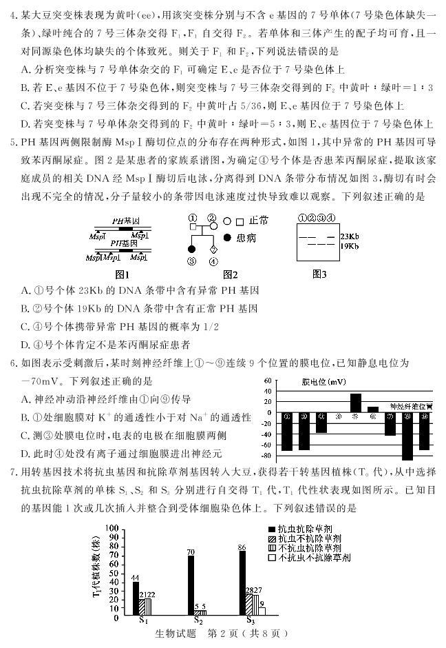 2023届山东省济宁市高三下学期高考模拟考试（一模）生物试题（PDF版）02