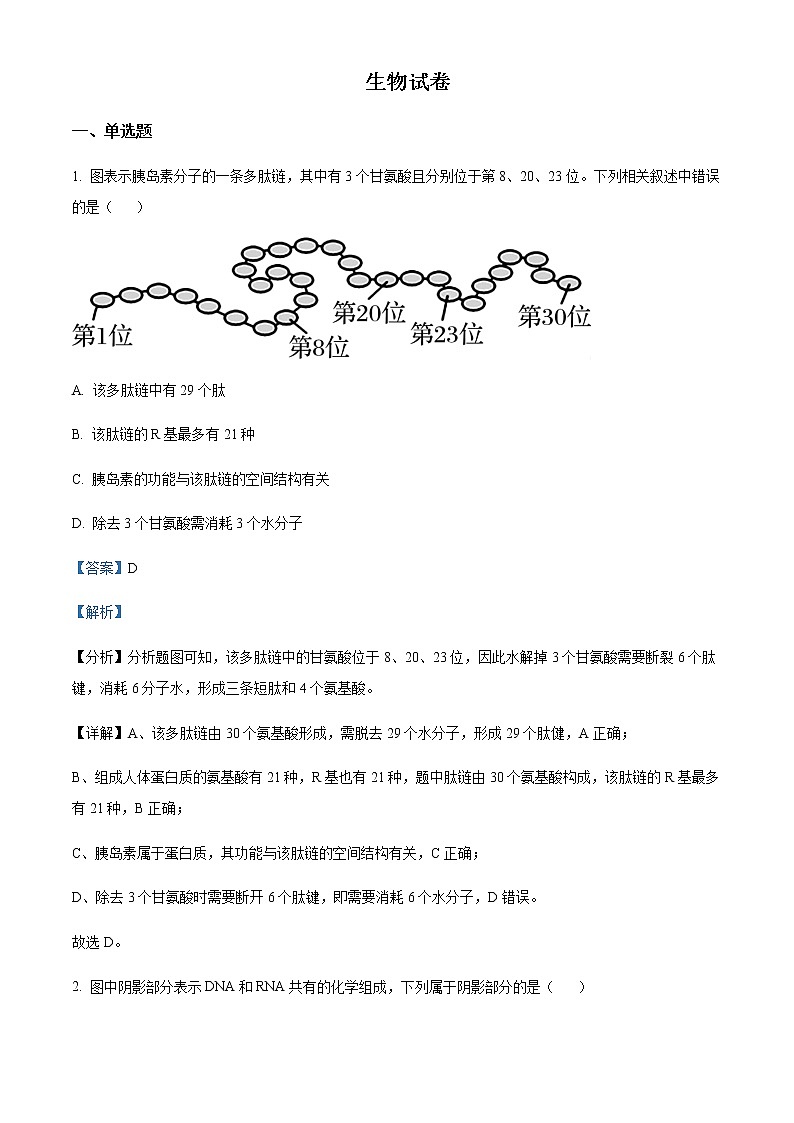 2022-2023学年学年江西省吉安市永新中学高一4月考生物试题含解析01