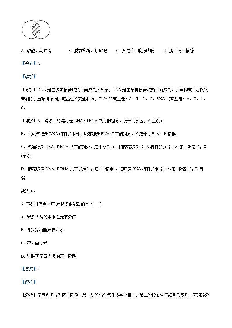 2022-2023学年学年江西省吉安市永新中学高一4月考生物试题含解析02