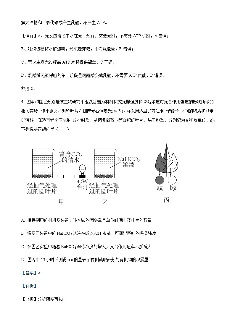 2022-2023学年学年江西省吉安市永新中学高一4月考生物试题含解析03