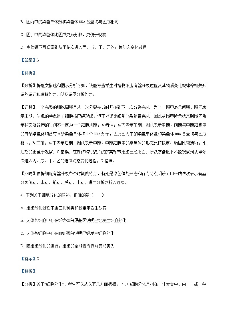 2022-2023学年广东省广州市五中高一下学期第一次段考生物试题含解析第3页