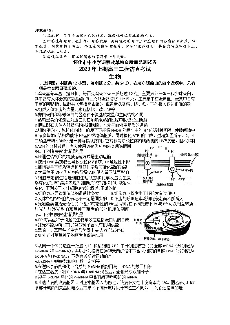 湖南省怀化市2023届高三生物下学期二模试题(Word版附答案)01