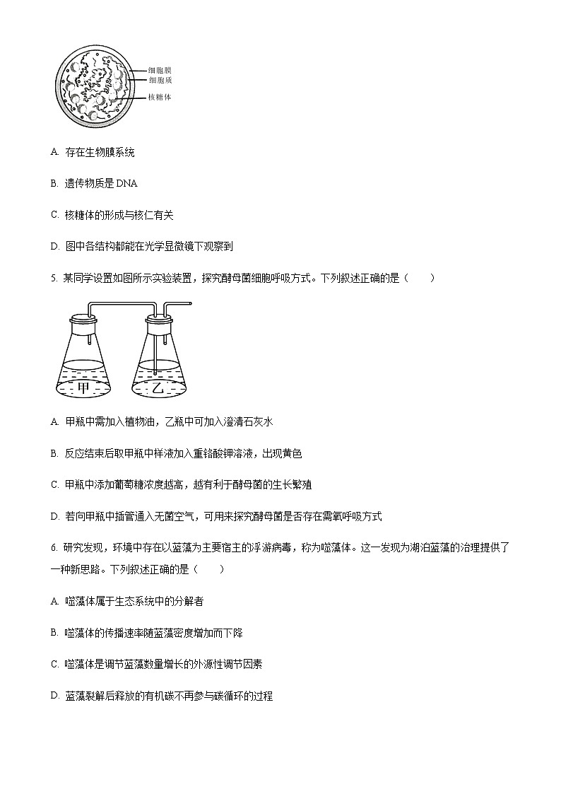 2023届浙江省丽水、湖州、衢州三地市高三下学期4月教学质量检测试题(二模)生物含答案02