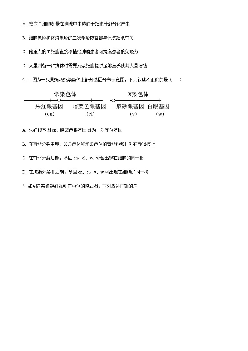 2023届四川省自贡市蜀光中学高三下学期生物模拟试题(九)(原卷版)第2页