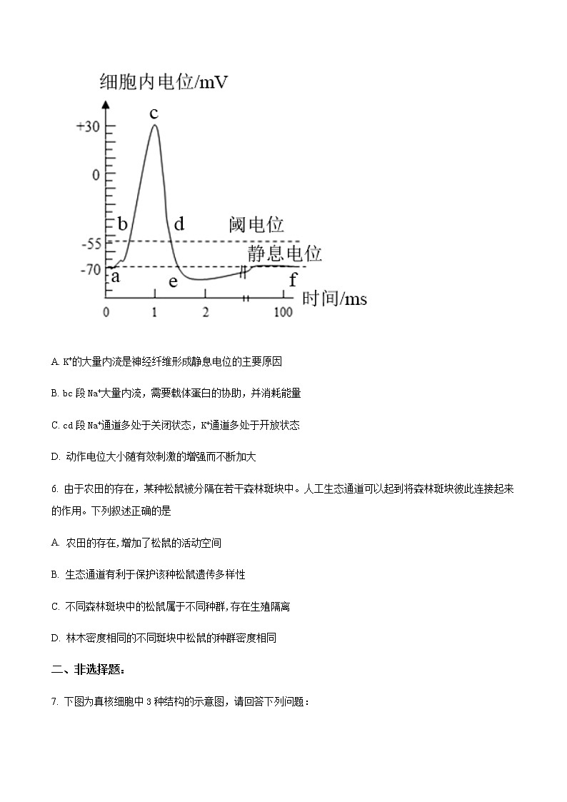 2023届四川省自贡市蜀光中学高三下学期生物模拟试题(九)(原卷版)第3页