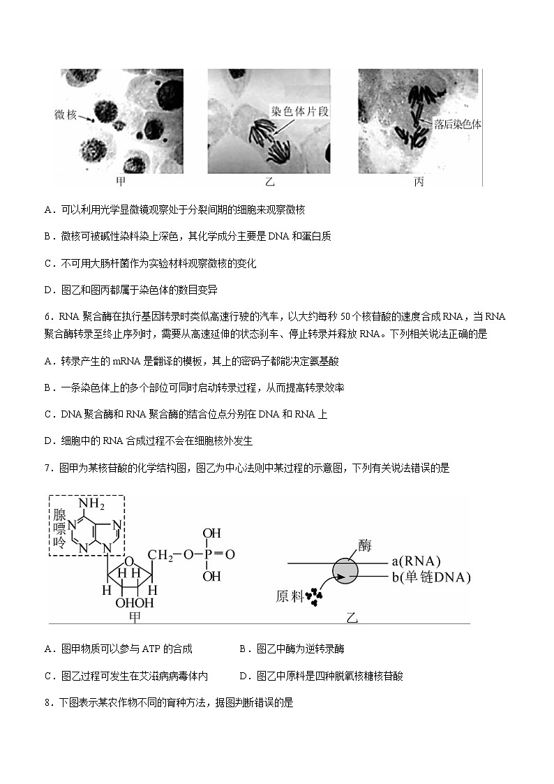 2023届湖北省高三下学期4月第八届调研模拟考试生物含答案第3页