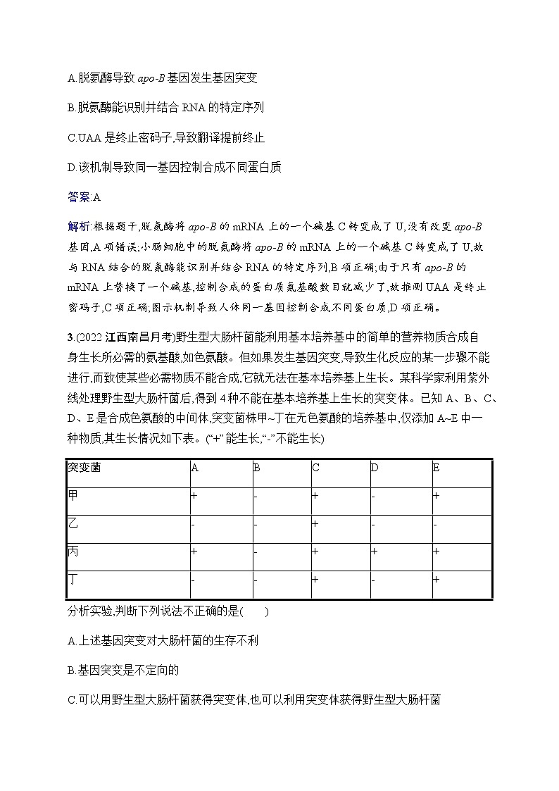 2023届人教版高考生物一轮复习生物的变异和进化单元检测(广东、福建、重庆专用)含答案第2页