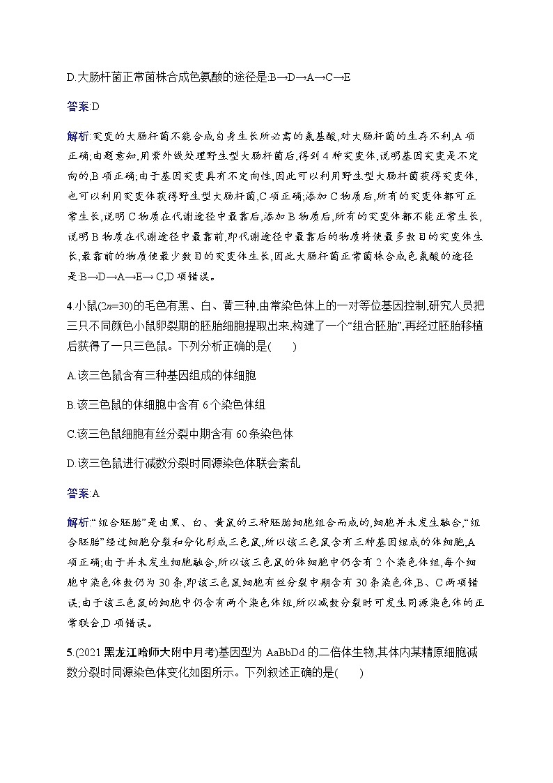 2023届人教版高考生物一轮复习生物的变异和进化单元检测(广东、福建、重庆专用)含答案第3页