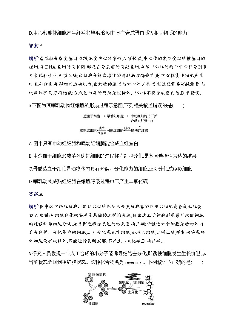 2023届人教版高考生物一轮复习细胞的生命历程单元检测(广东、福建、重庆专用)含答案第3页