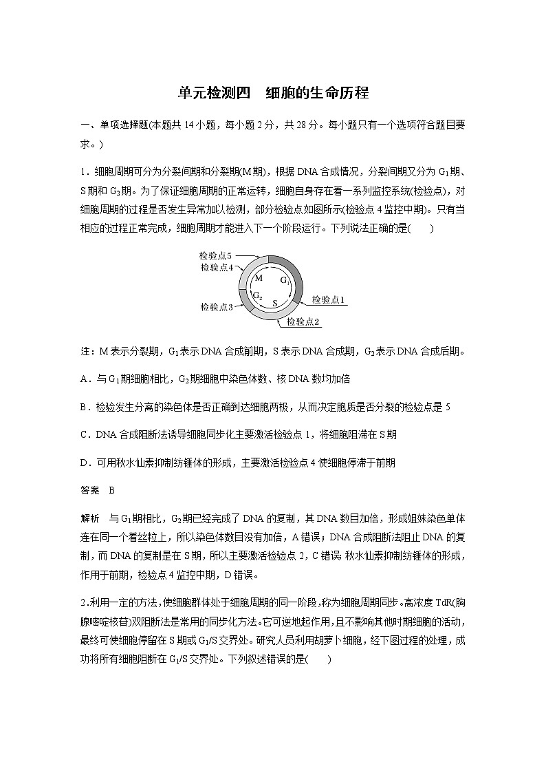 2023届苏教版高考生物一轮复习细胞的生命历程单元测试含答案第1页