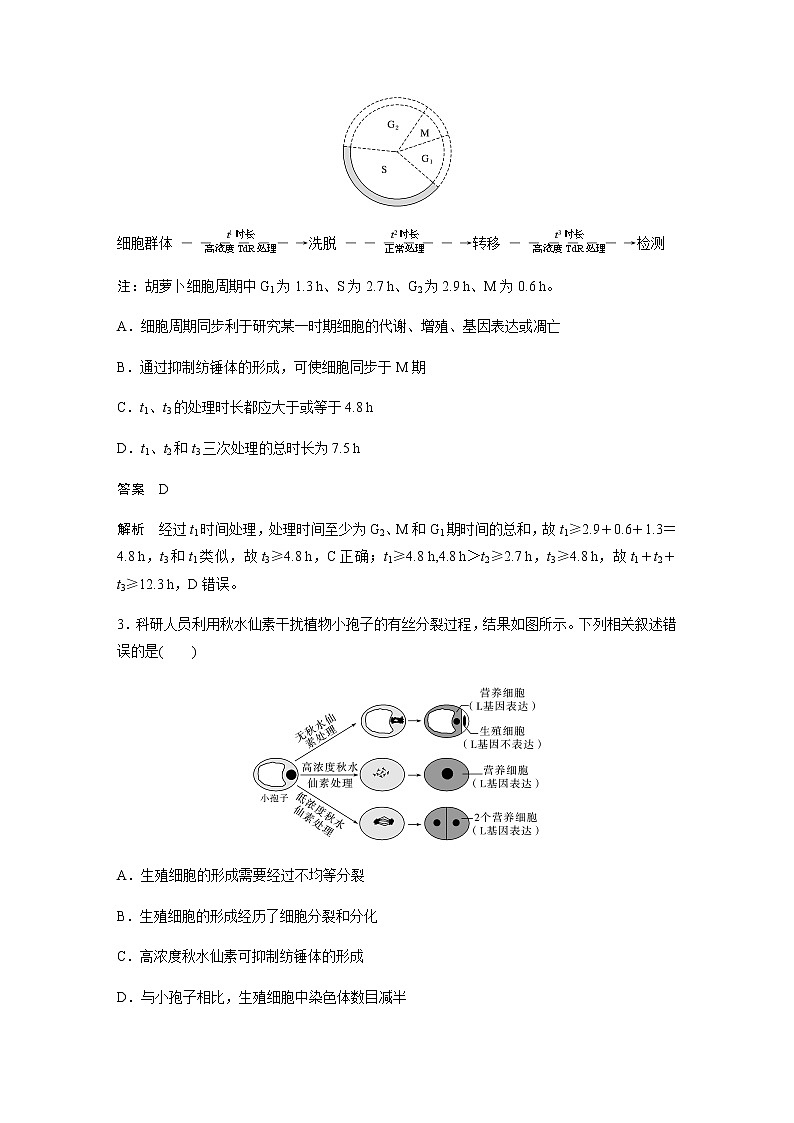 2023届苏教版高考生物一轮复习细胞的生命历程单元测试含答案第2页