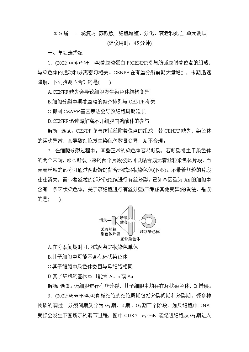 2023届苏教版高考生物一轮复习细胞增殖、分化、衰老和死亡单元测试含答案第1页
