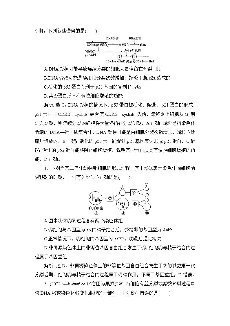 2023届苏教版高考生物一轮复习细胞增殖、分化、衰老和死亡单元测试含答案第2页