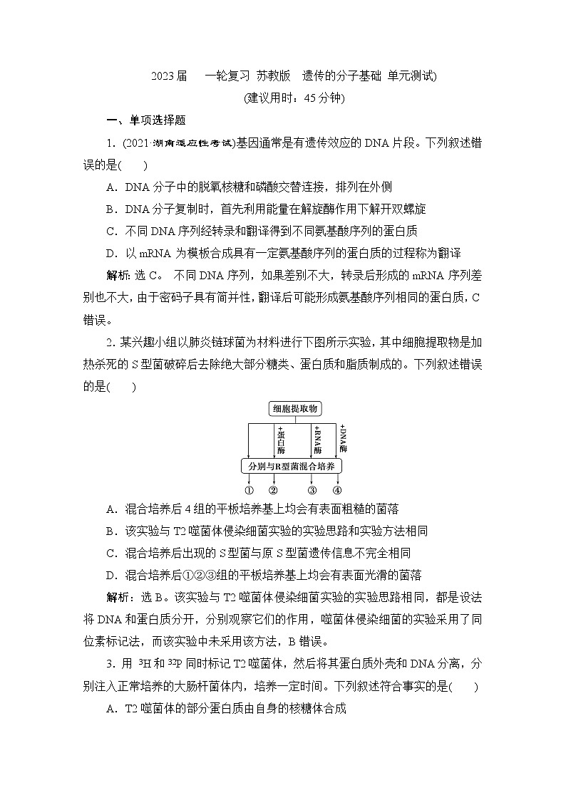 2023届苏教版高考生物一轮复习遗传的分子基础单元测试含答案01
