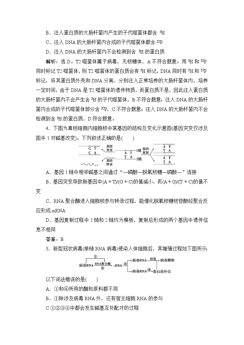 2023届苏教版高考生物一轮复习遗传的分子基础单元测试含答案02