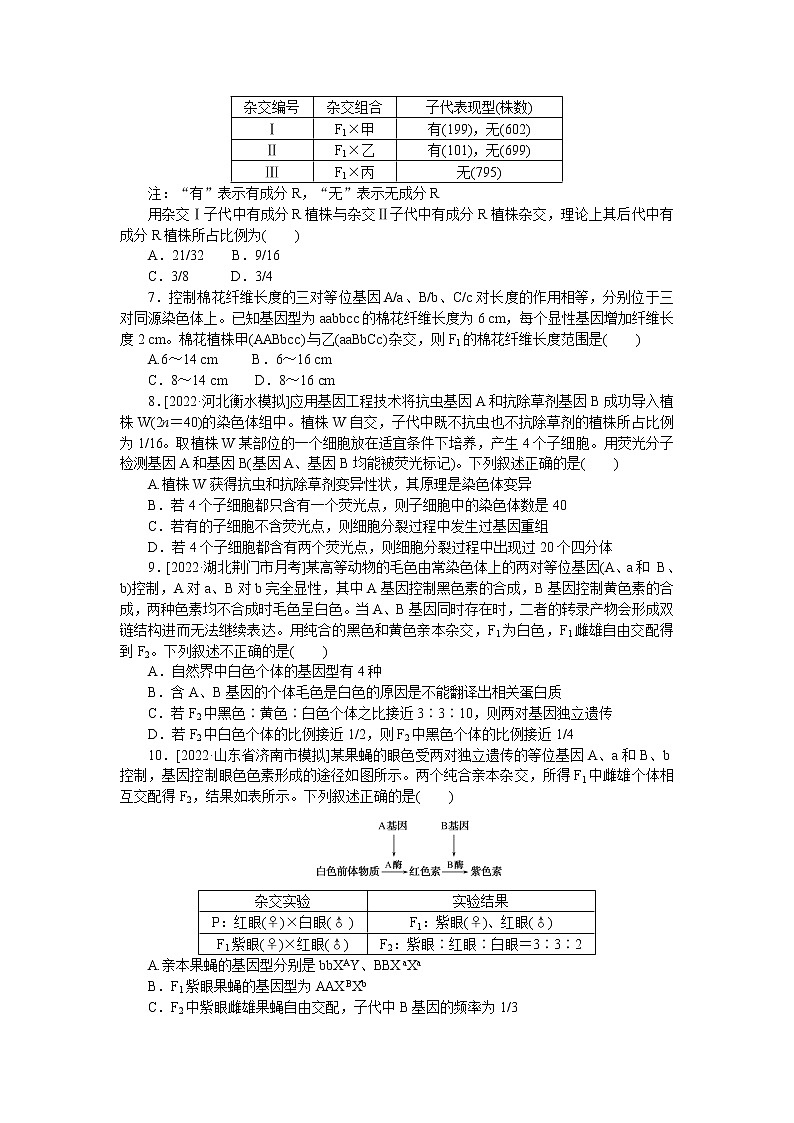 2023届人教版高考生物一轮复习孟德尔定律和伴性遗传单元测试(山东版)含答案第2页