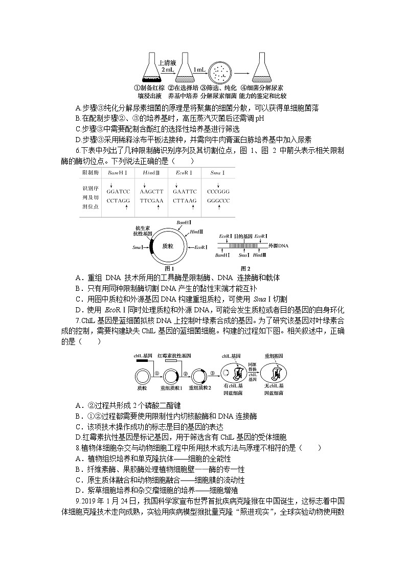 2023届人教版高考生物一轮复习生物技术与工程单元测试(山东版)含答案第2页