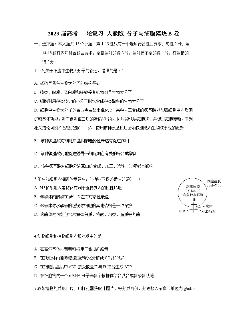 2023届人教版高考生物一轮复习分子与细胞模块B卷单元检测含答案第1页