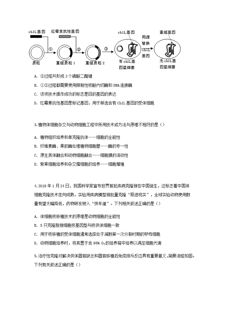 2023届人教版高考生物一轮复习现代生物科技专题B卷单元检测含答案02