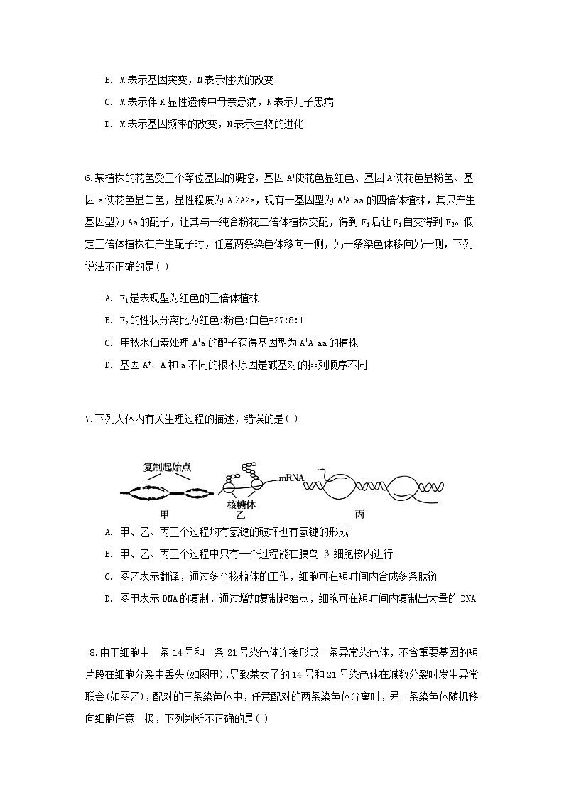 2023届人教版高考生物一轮复习遗传与进化模块B卷单元检测含答案第3页