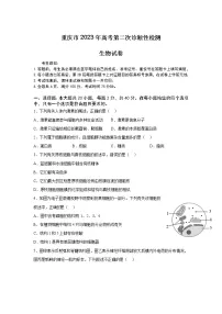 重庆市2023届高三生物下学期第二次诊断性检测(二模)试卷(Word版附解析)