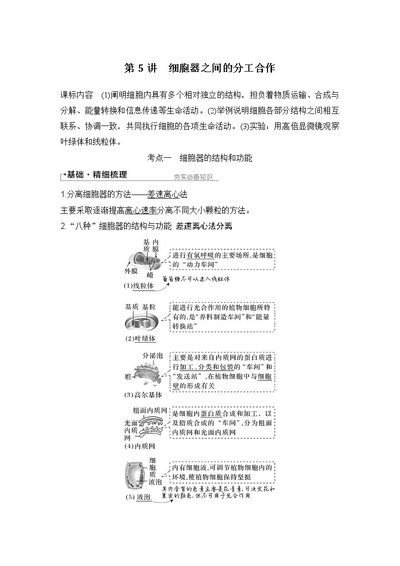 2024高考生物一轮复习讲义 第一章 第5讲 细胞器之间的分工合作第1页