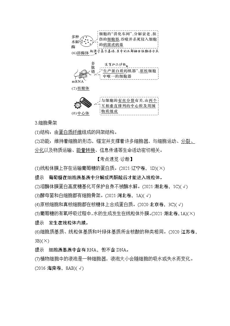 2024高考生物一轮复习讲义 第一章 第5讲 细胞器之间的分工合作第2页