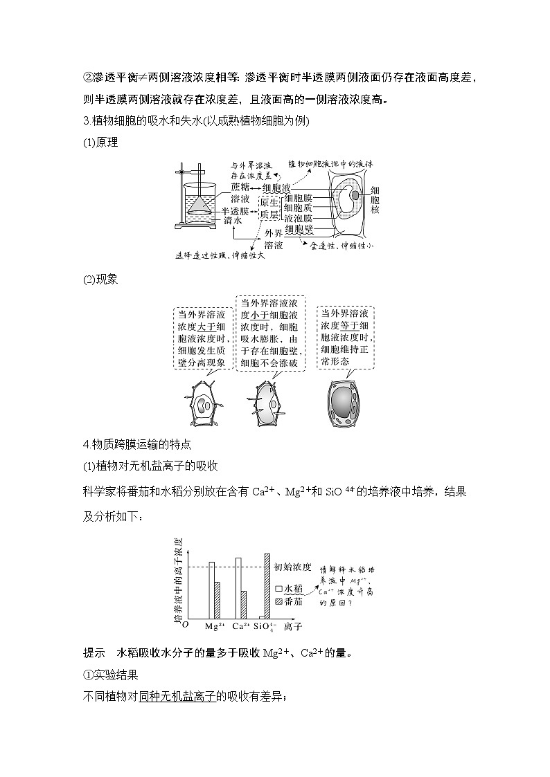 2024高考生物一轮复习讲义 第一章 第6讲 细胞的物质输入和输出第2页