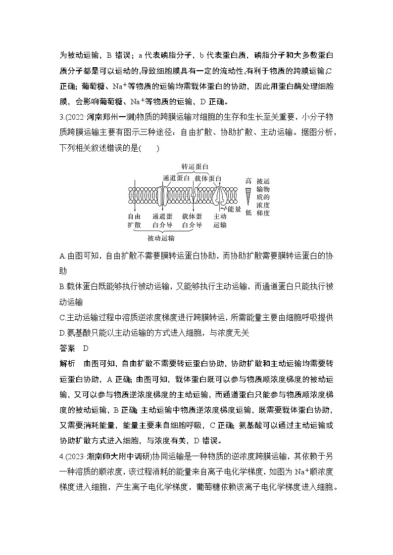 2024高考生物一轮复习讲义 第一章 微点热练1 与细胞的物质输入和输出有关的热考题型第2页