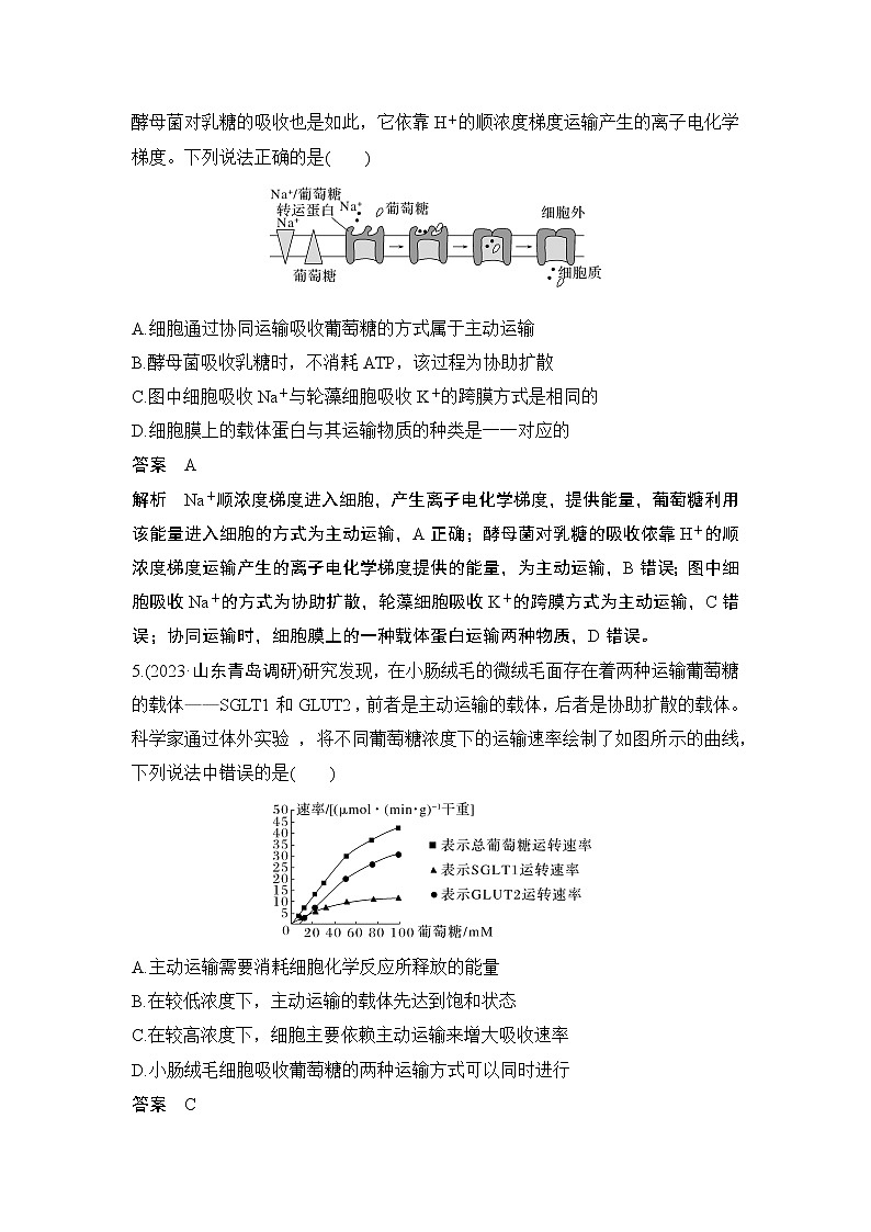 2024高考生物一轮复习讲义 第一章 微点热练1 与细胞的物质输入和输出有关的热考题型第3页
