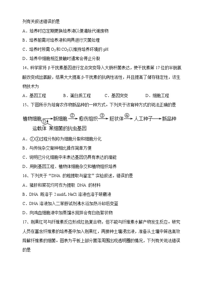 河南省实验中学2022-2023学年高二生物下学期期中考试试题（Word版附答案）03