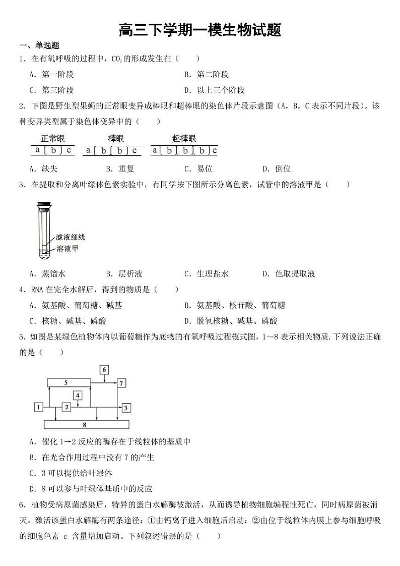 云南省丽江市高三下学期一模生物试题【附参考答案】第1页
