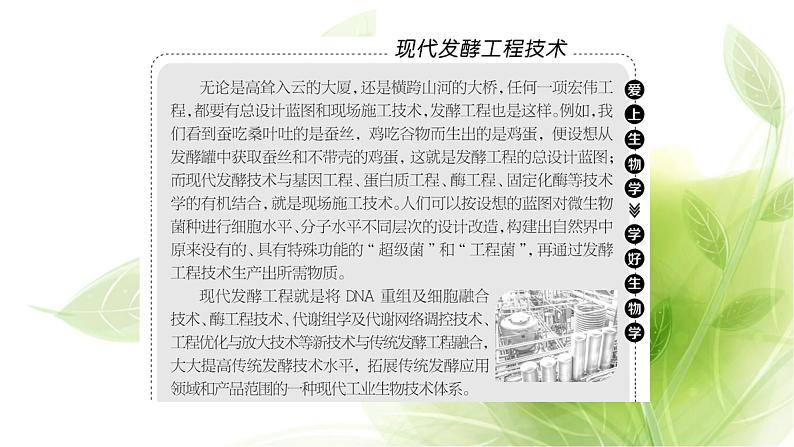 人教版高中生物选择性必修3第1章发酵工程第1节传统发酵技术的应用课件+课时检测含答案02