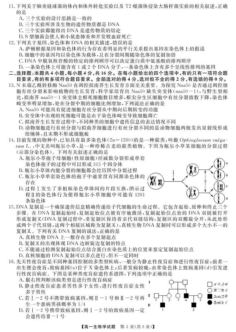 生物试卷第3页