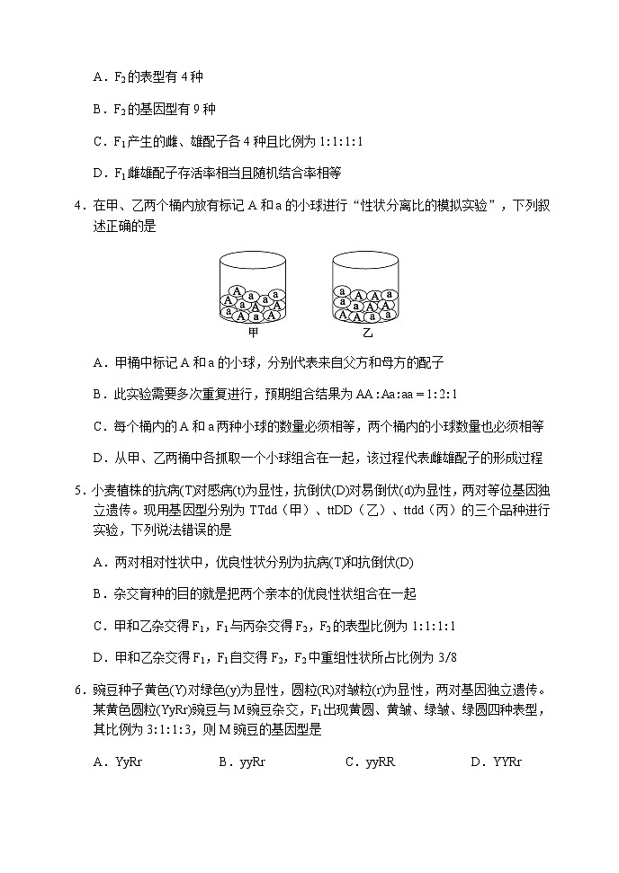 2022-2023学年四川省成都市蓉城名校联盟高一下学期期中联考生物试题含答案第2页