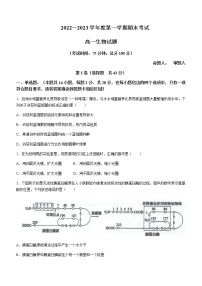 2022-2023学年江苏省泰州中学高一上学期期末生物试题含答案