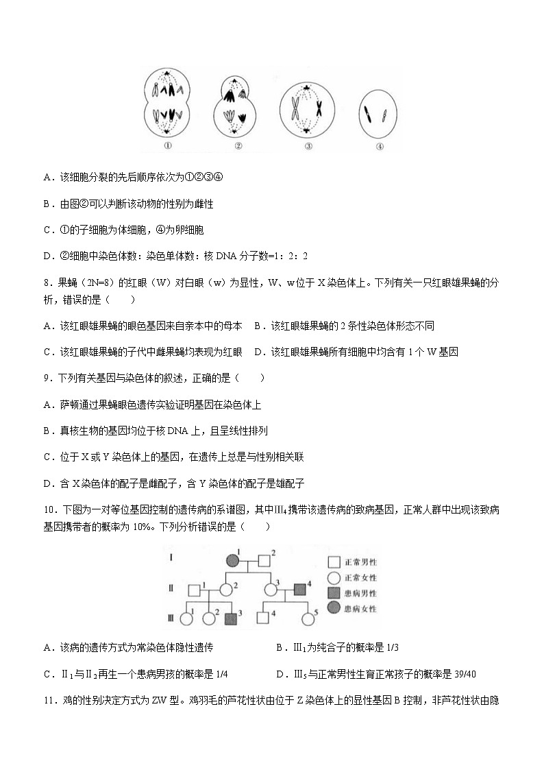 2022-2023学年四川省乐山市峨眉二中高一4月月考生物试题含解析第2页
