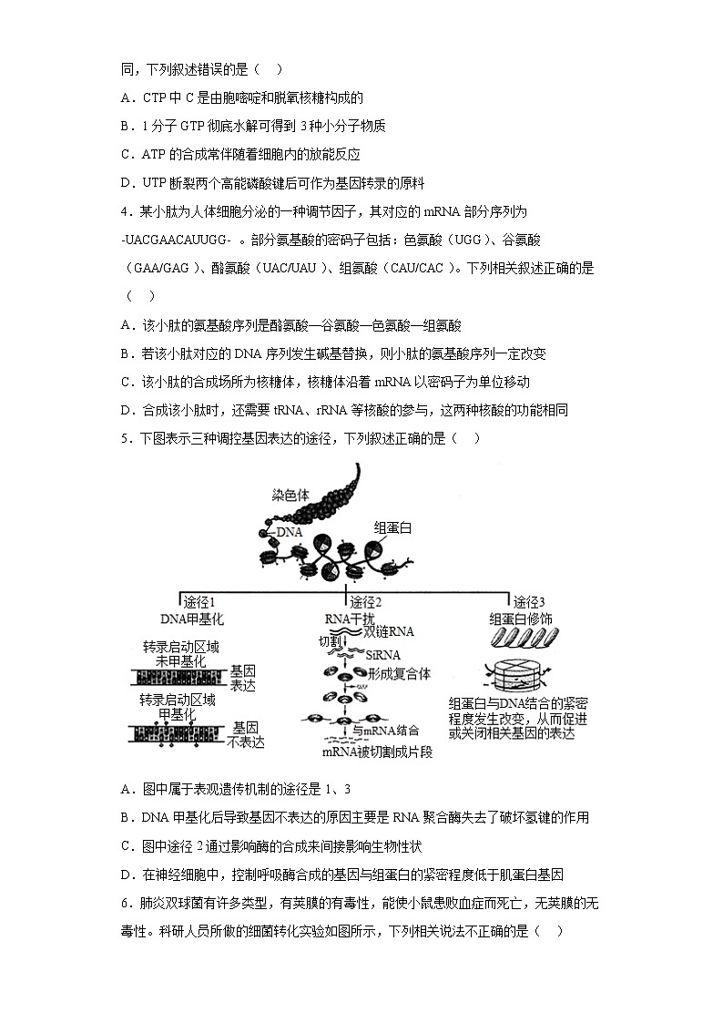 2023屆江蘇省南京市高三二模考前適應性訓練生物試題第2頁