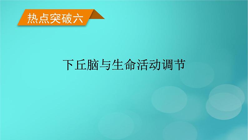 (新高考适用)2023版高考生物二轮总复习 热点突破6 下丘脑与生命活动调节课件第1页