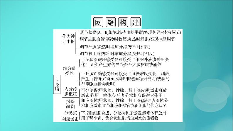 (新高考适用)2023版高考生物二轮总复习 热点突破6 下丘脑与生命活动调节课件第2页