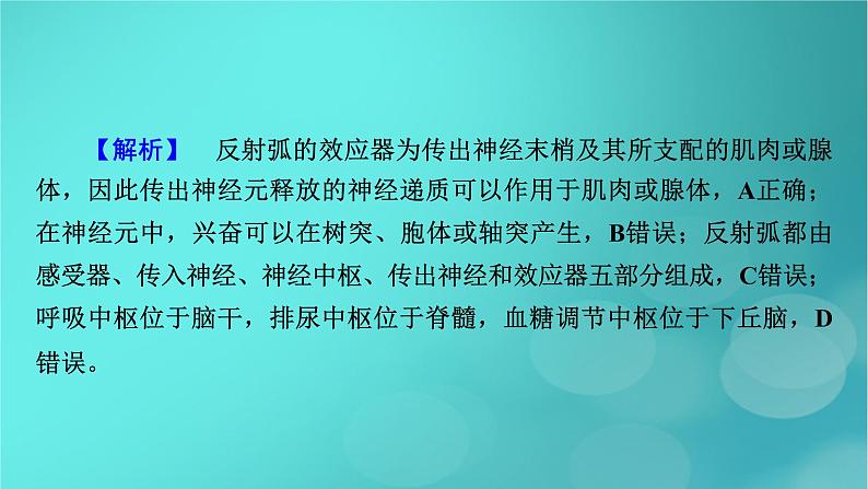 (新高考适用)2023版高考生物二轮总复习 热点突破6 下丘脑与生命活动调节课件第4页