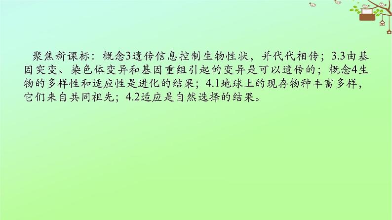 2023新教材高考生物二轮专题复习 专题四 生命系统的遗传、变异、进化 第3讲 生物变异与进化课件02