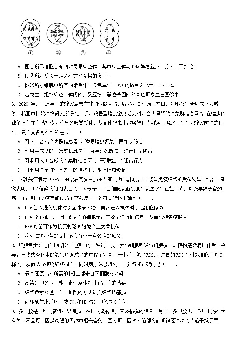 广东省汕头市2023届高三三模生物试卷含答案02