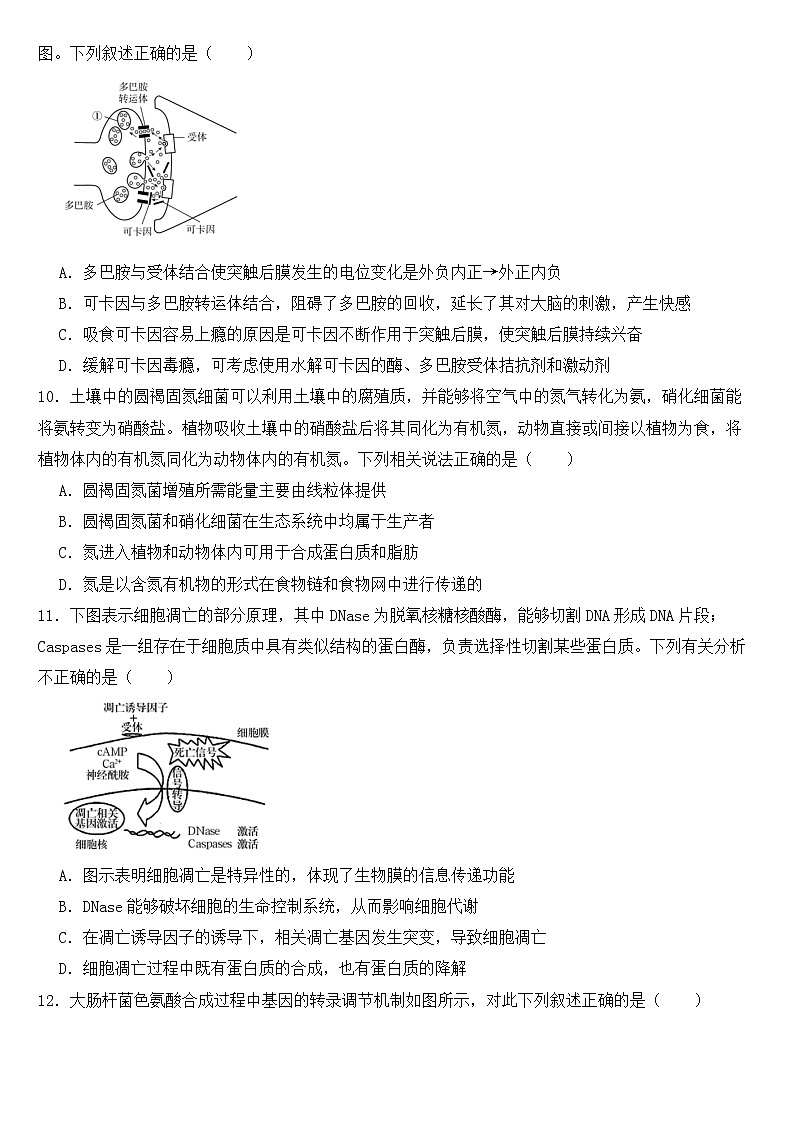 广东省汕头市2023届高三三模生物试卷含答案03