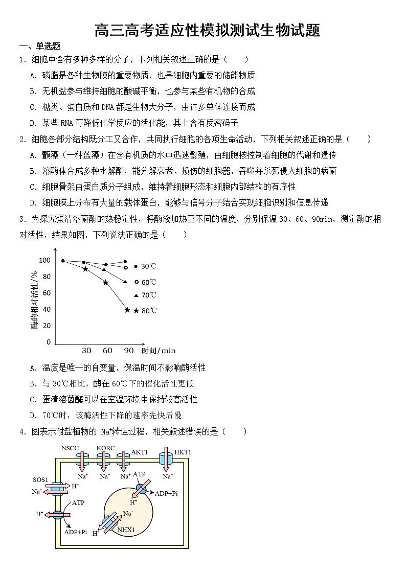 湖北省2023届高三高考适应性模拟测试生物试题含答案01