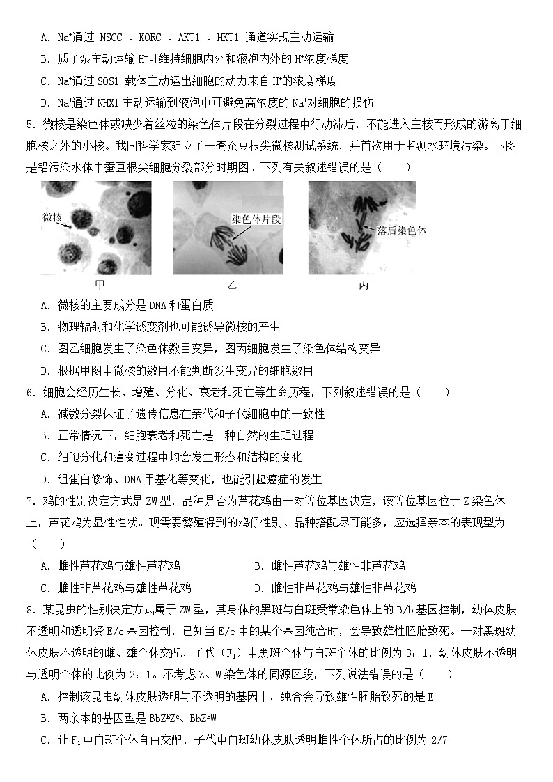 湖北省2023届高三高考适应性模拟测试生物试题含答案02