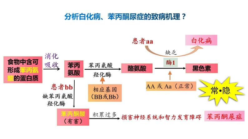 人类遗传病  人教版必修2 遗传与进化课件PPT07